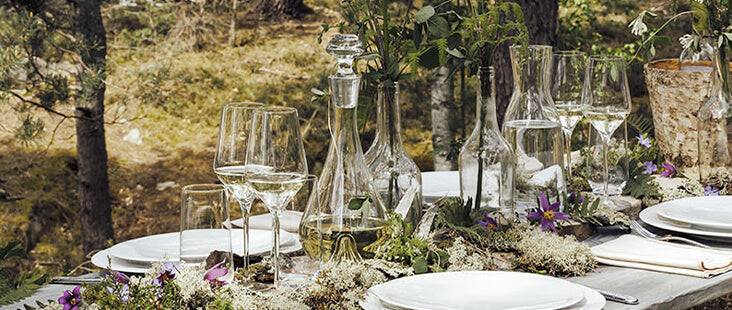 Carafes à Vin