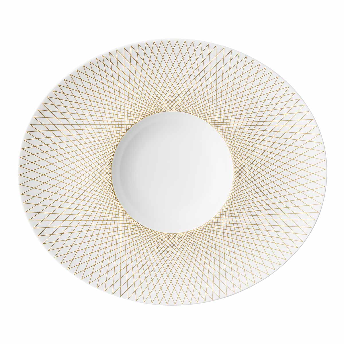 degrenne paris GRAPHIQUE CLASSIQUE DORE Assiette gourmet ovale 30cm x 26cm