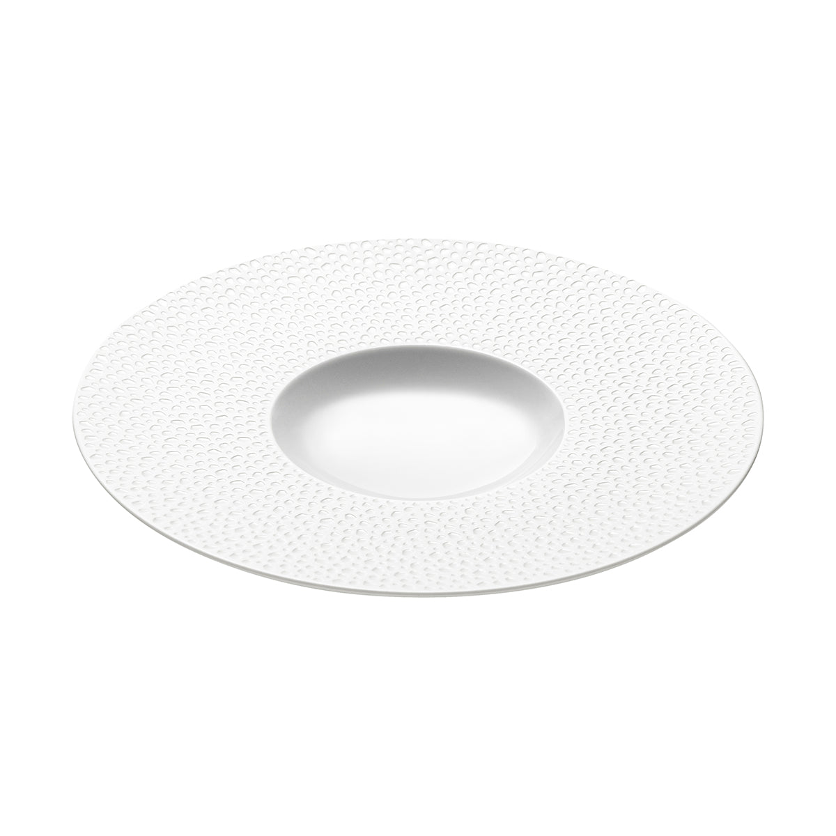 degrenne paris PERLES DE ROSEE BLANCHES Assiette gourmet petit bassin 28 cm