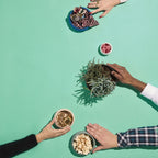 GOURMET SABLE Grande assiette cocotte 22 cm