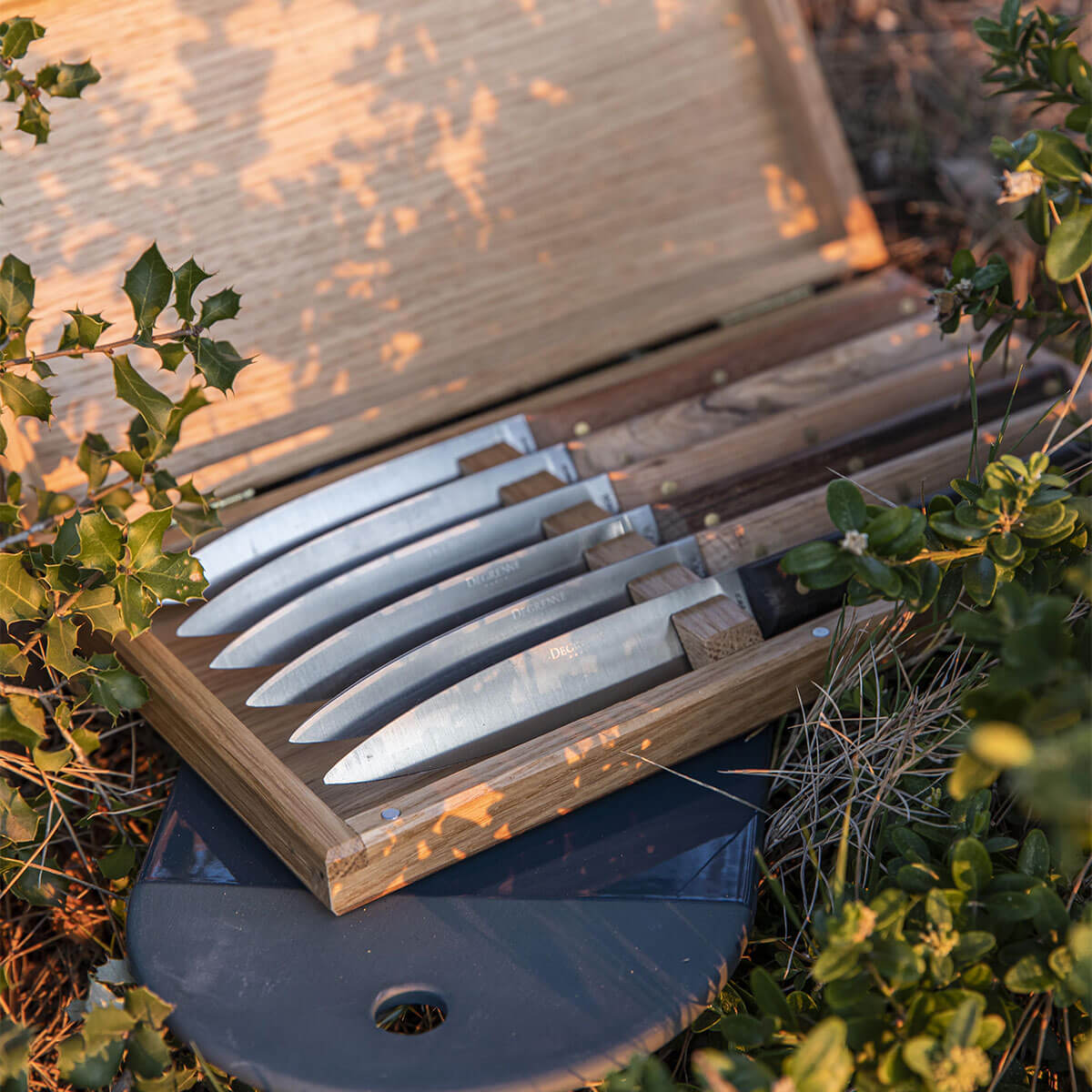 Image du produit: MIRAGE LES ESSENCES Coffret 6 couteaux à steak